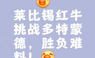 km包网 vip-热血球场激烈对抗，豪门实力对决劲爆展开的简单介绍