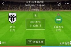 km包网 vip-圣埃蒂安客场失利，欧战形势不乐观的简单介绍